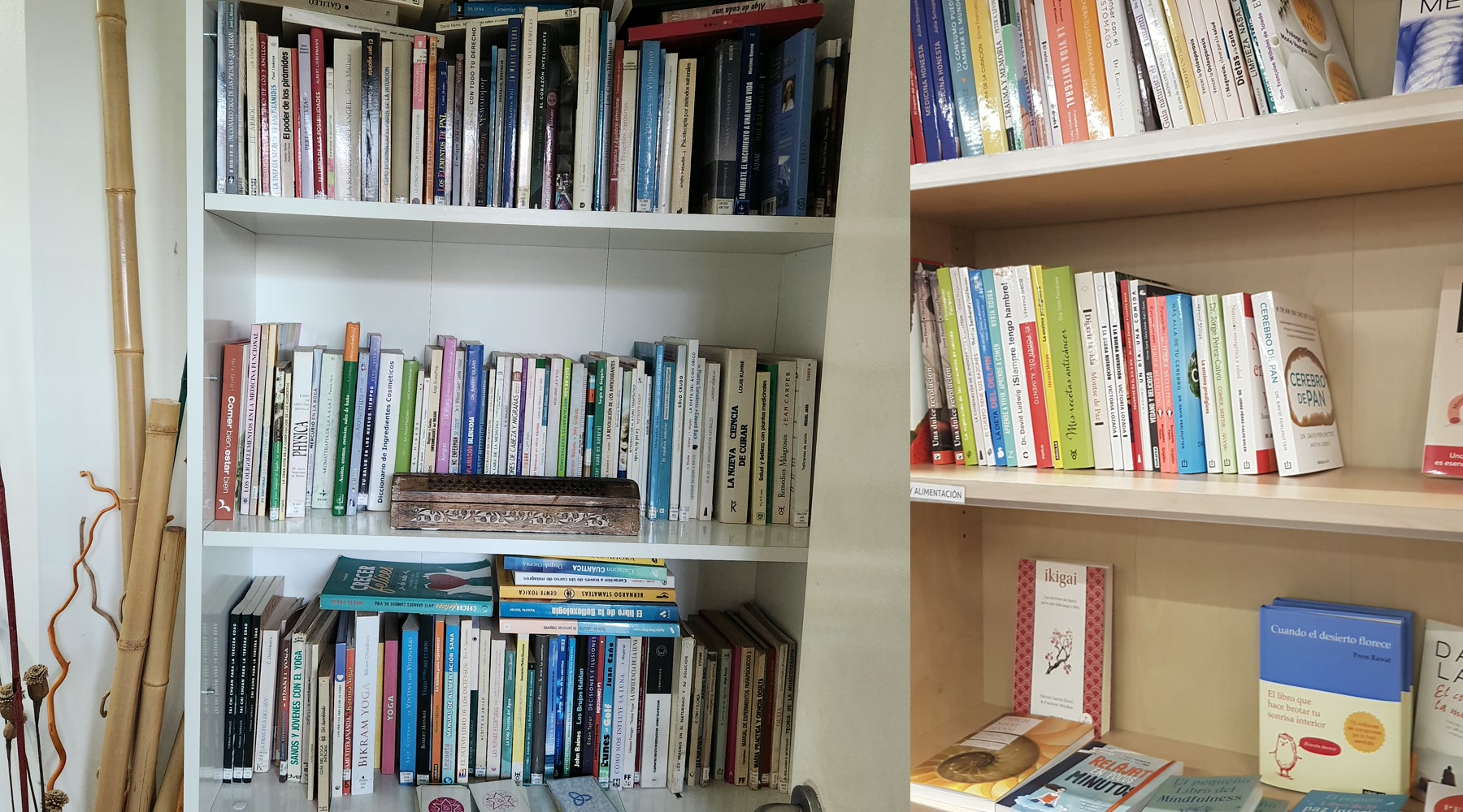 Biblioteca compartida de Centro Natural con libros de bienestar, salud, alimentación y desarrollo personal